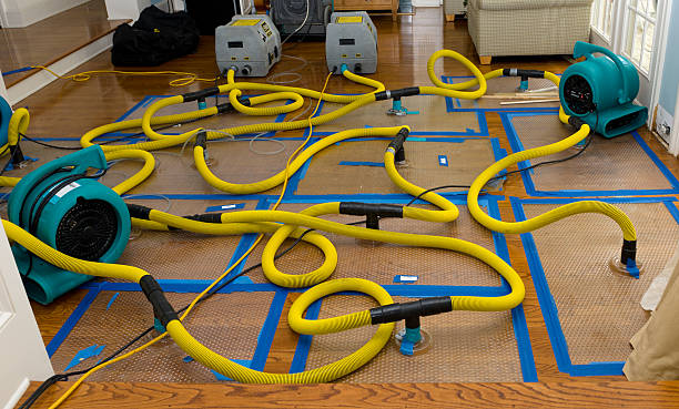 Professional Water Extraction technician working in Powell, AL